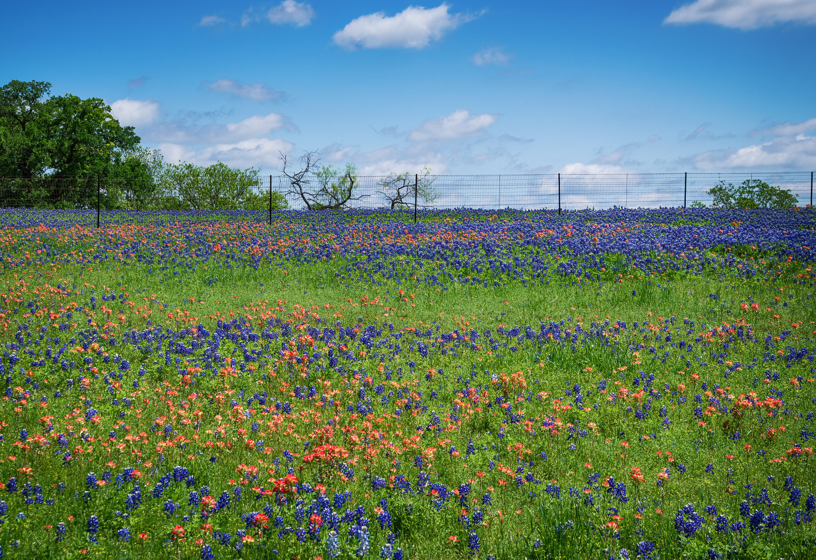 Spring Into An Alkaline You!